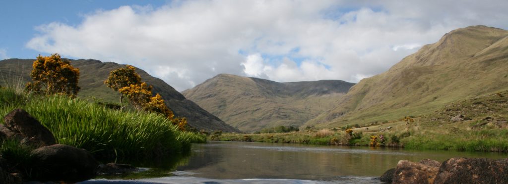 Lake surveys